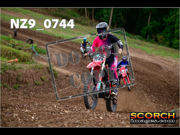 Novice-282
