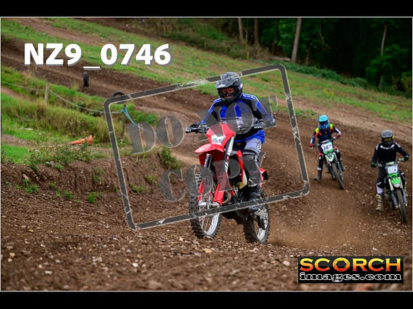 Novice-283
