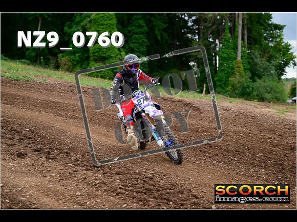 Novice-295