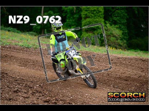 Novice-297
