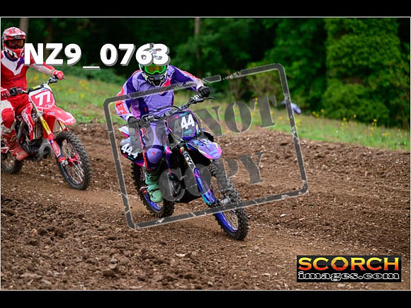 Novice-298