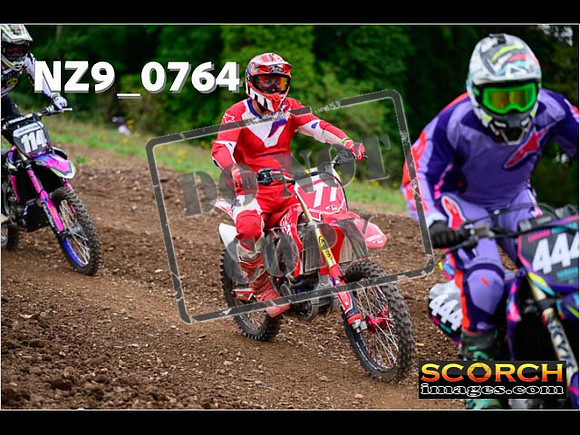 Novice-299