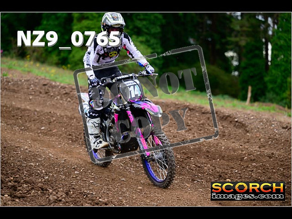 Novice-300