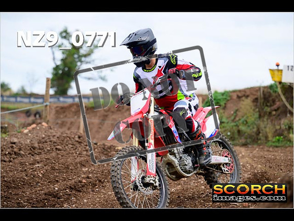 Novice-306