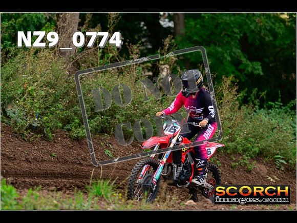 Novice-307