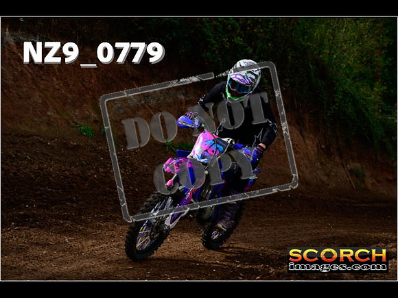 Novice-312
