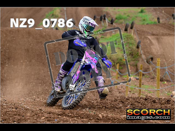 Novice-319