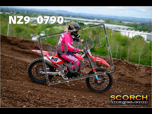 Novice-323