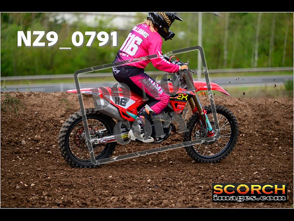 Novice-324