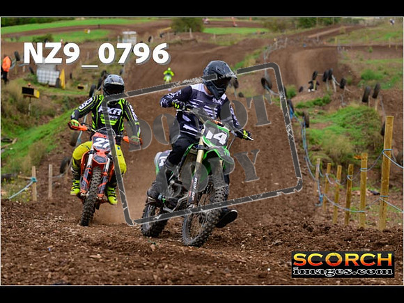 Novice-329