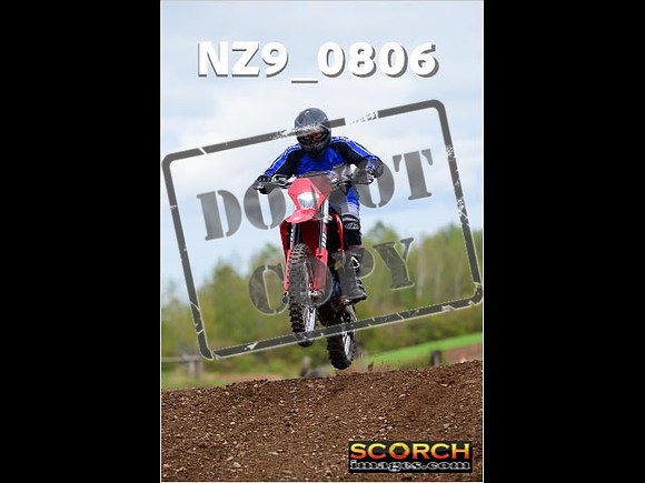 Novice-339