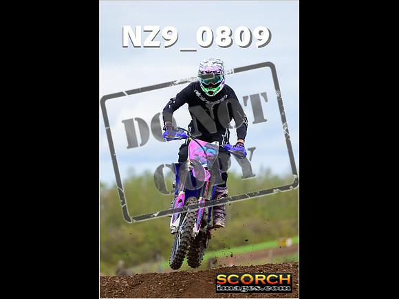 Novice-341