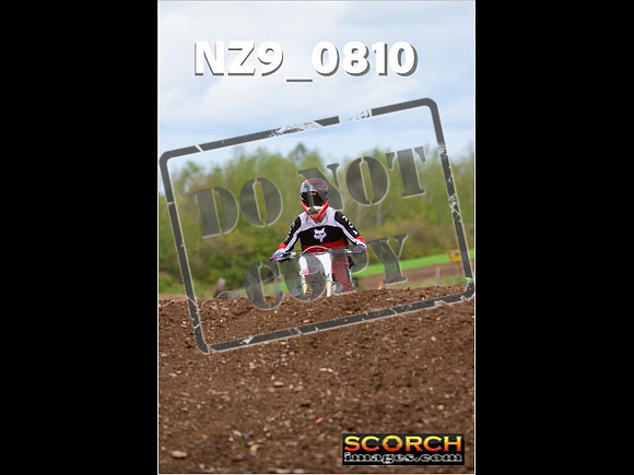 Novice-342