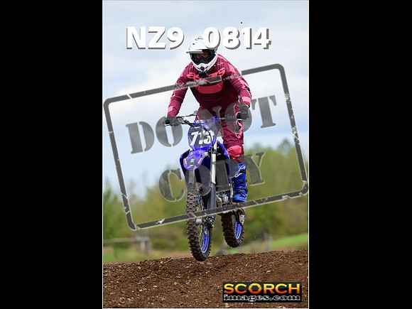 Novice-346