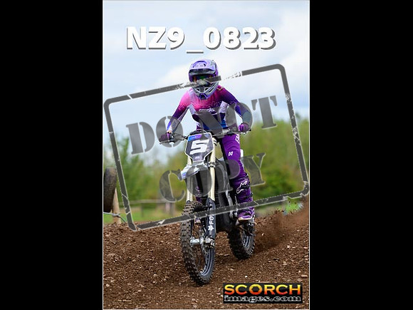 Novice-355