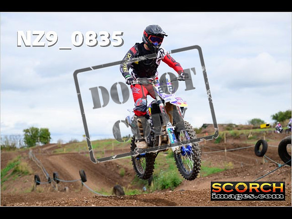 Novice-366