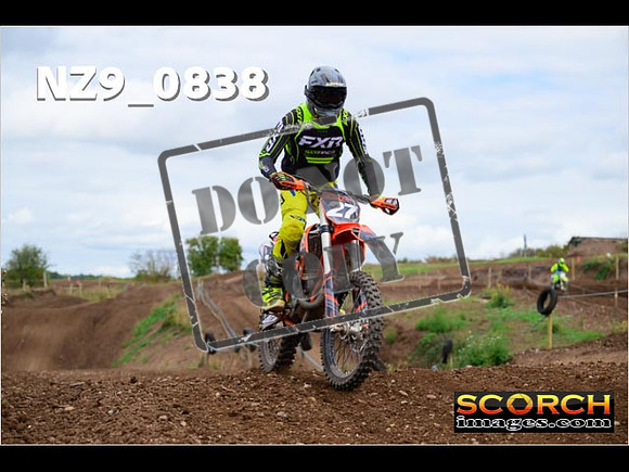 Novice-369