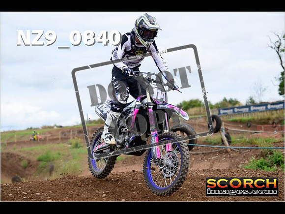 Novice-371