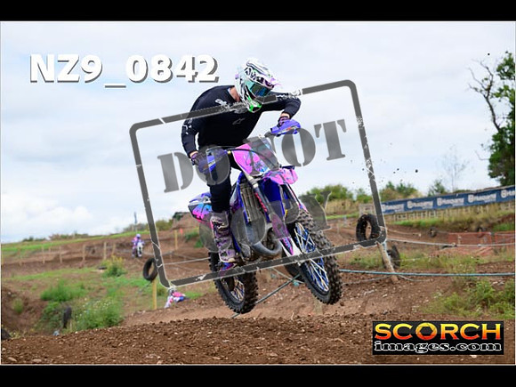 Novice-373
