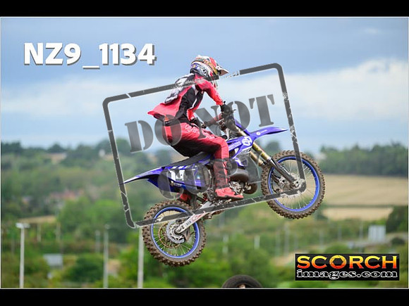 Experts-054