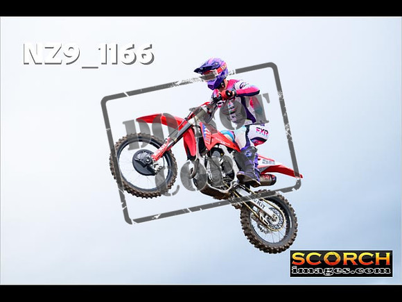 Experts-085