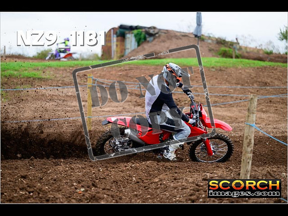 Experts-098