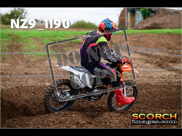 Experts-107
