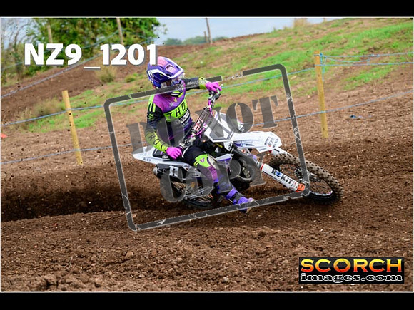 Experts-116