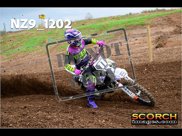 Experts-117