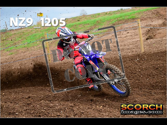 Experts-119