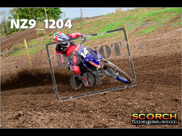 Experts-118