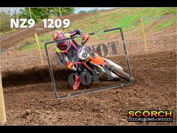 Experts-123