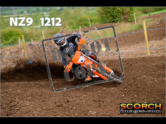 Experts-126
