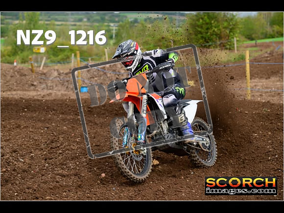 Experts-130