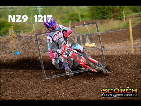 Experts-131