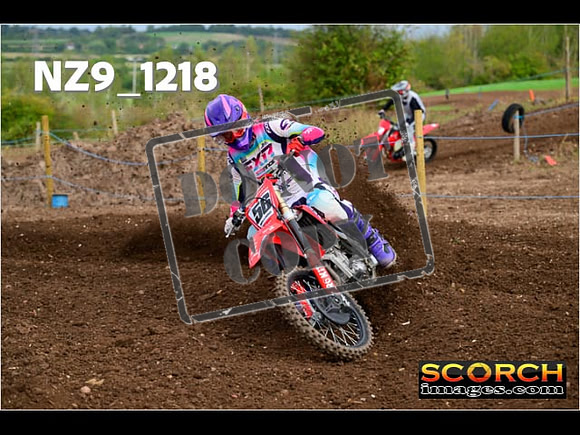 Experts-132