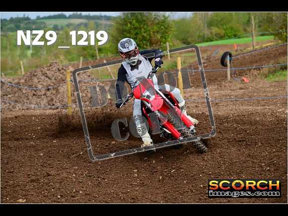 Experts-133