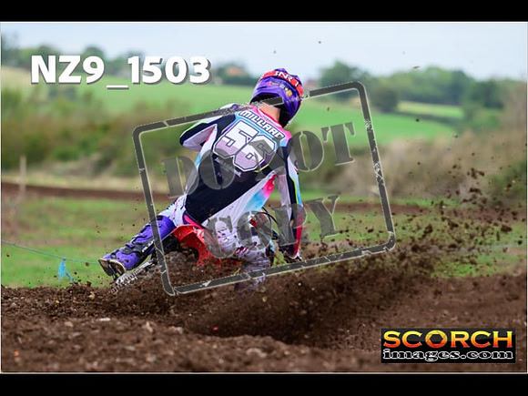 Experts-135