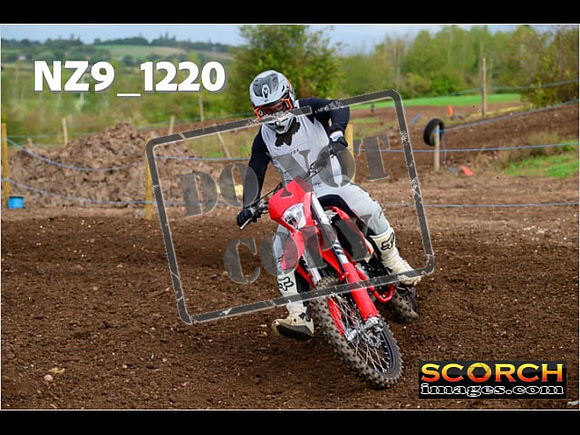 Experts-134