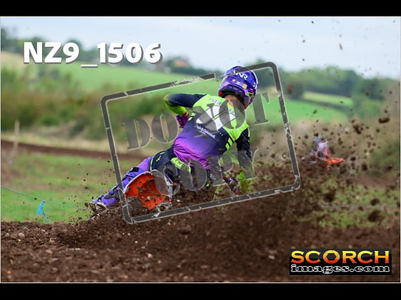 Experts-137