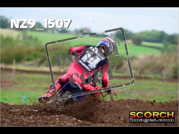 Experts-138