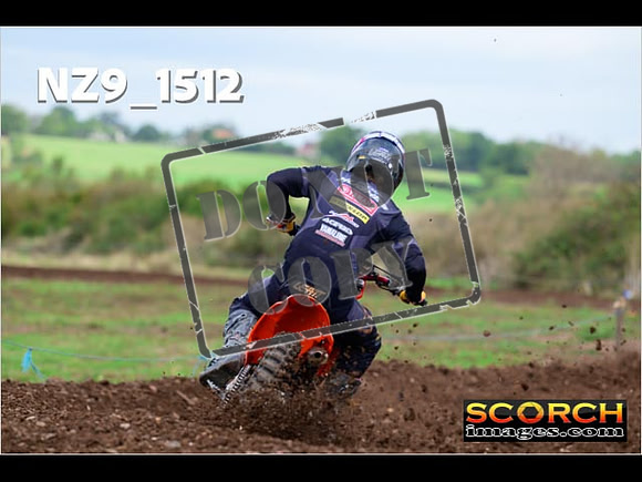Experts-142