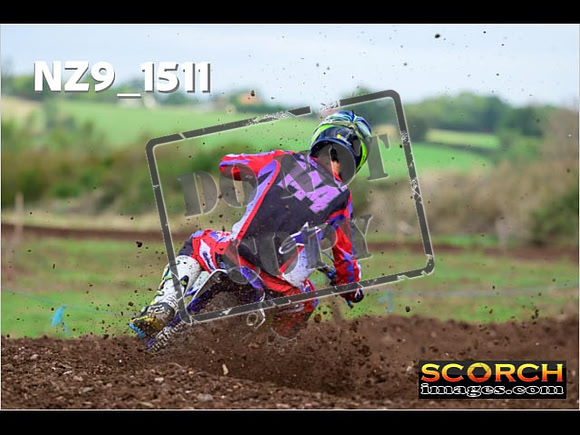Experts-141