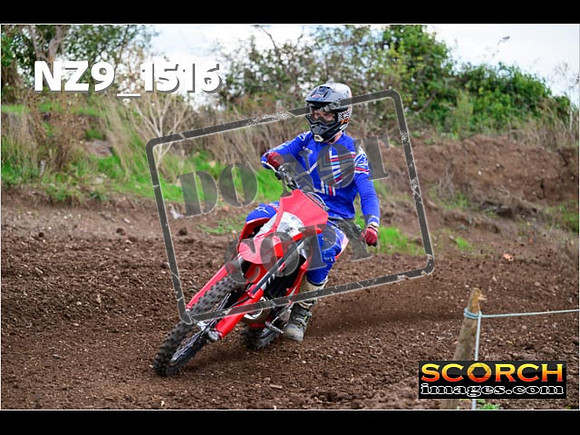 Experts-146