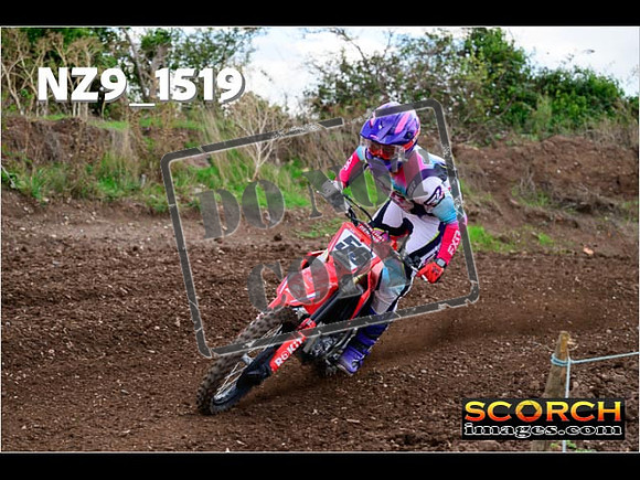 Experts-149