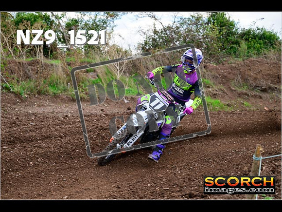 Experts-151