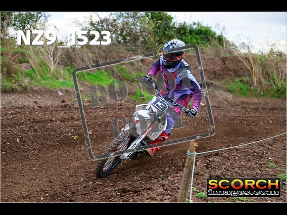 Experts-153