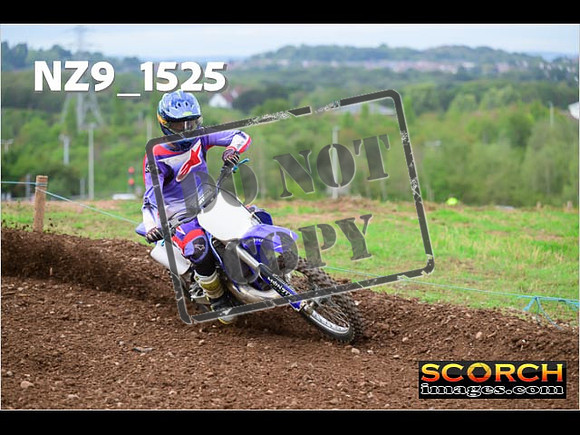 Experts-155