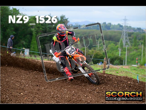 Experts-156