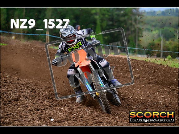Experts-157
